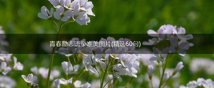 青春励志语录唯美图片(精选60句),第1张