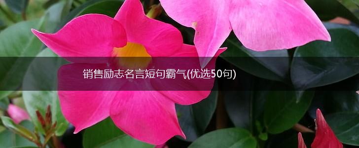 销售励志名言短句霸气(优选50句),第1张