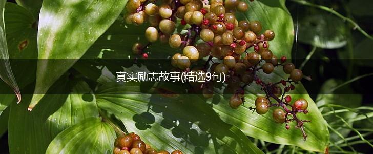 真实励志故事(精选9句),第1张