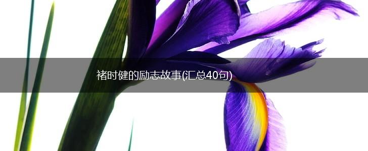 褚时健的励志故事(汇总40句),第1张