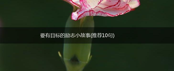 要有目标的励志小故事(推荐10句),第1张