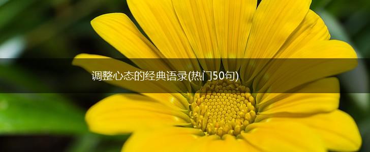 调整心态的经典语录(热门50句),第1张 调整心态的经典语录(热门50句),第1张