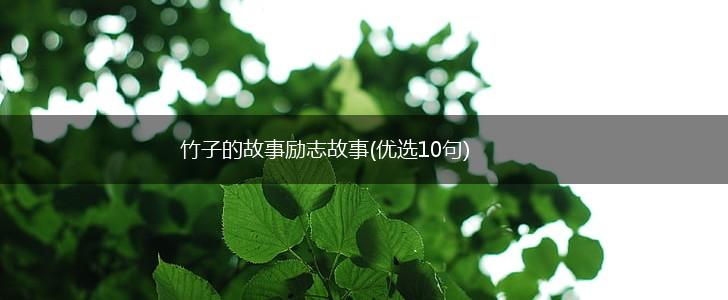 竹子的故事励志故事(优选10句),第1张