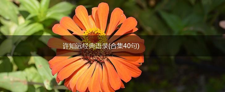 许知远经典语录(合集40句),第1张