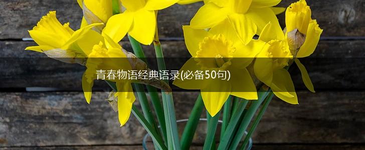 青春物语经典语录(必备50句),第1张