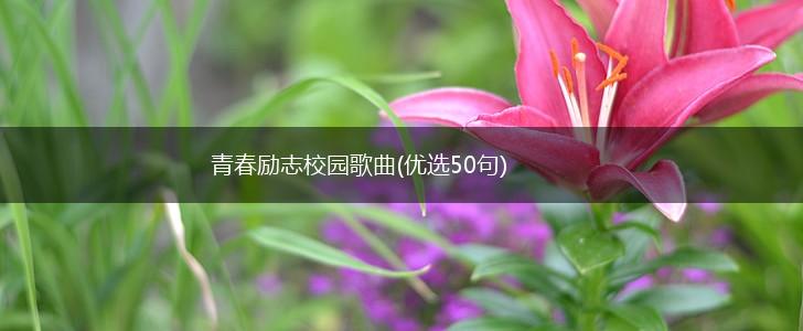 青春励志校园歌曲(优选50句),第1张