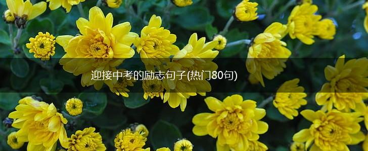 迎接中考的励志句子(热门80句),第1张