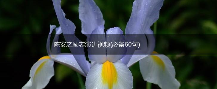 陈安之励志演讲视频(必备60句),第1张