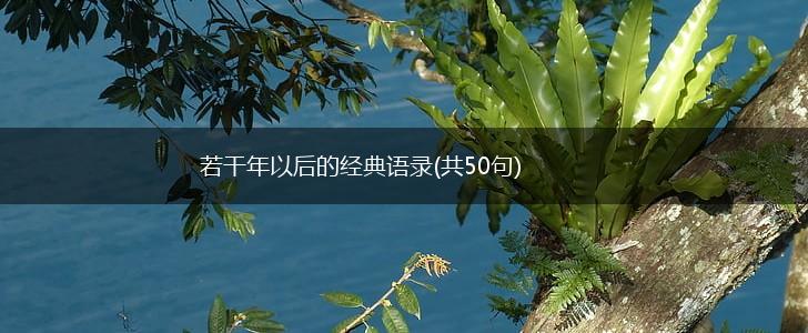 若干年以后的经典语录(共50句),第1张
