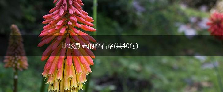 比较励志的座右铭(共40句),第1张 比较励志的座右铭(共40句),第1张