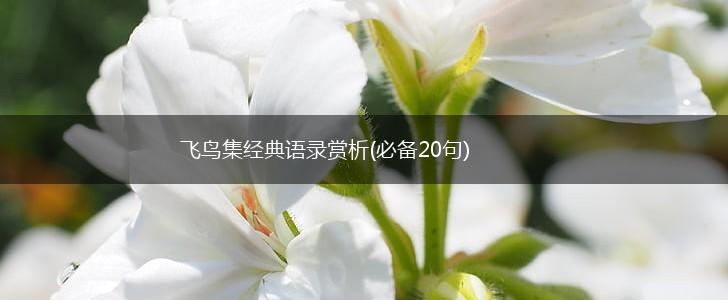 飞鸟集经典语录赏析(必备20句),第1张
