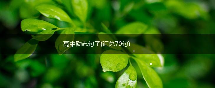 高中励志句子(汇总70句),第1张