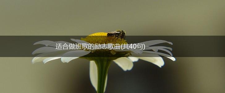 适合做班歌的励志歌曲(共40句),第1张