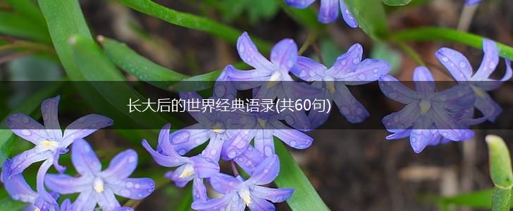 长大后的世界经典语录(共60句),第1张