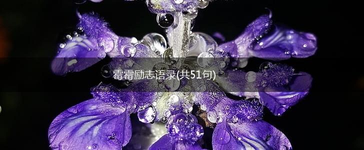 霉霉励志语录(共51句),第1张