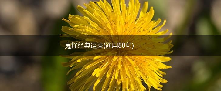 鬼怪经典语录(通用80句),第1张