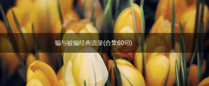 骗与被骗经典语录(合集60句),第1张