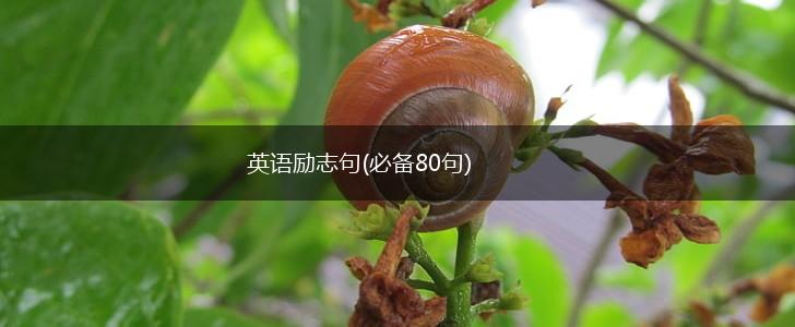 英语励志句(必备80句),第1张