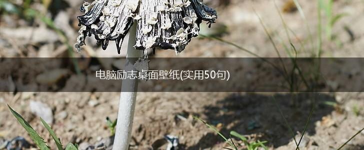 电脑励志桌面壁纸(实用50句),第1张