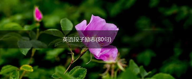 英语段子励志(80句),第1张