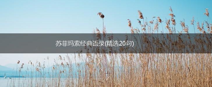 苏菲玛索经典语录(精选20句),第1张