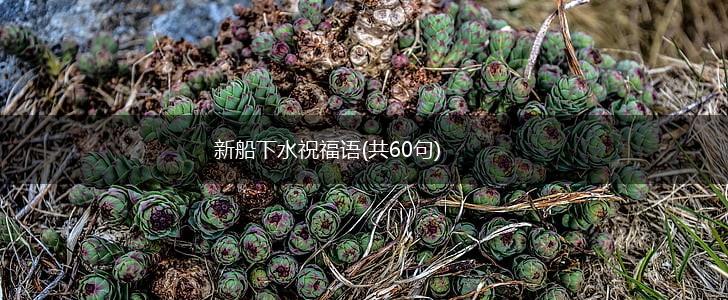 新船下水祝福语(共60句),第1张