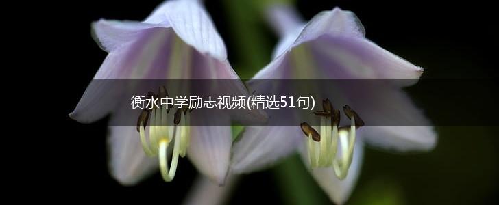 衡水中学励志视频(精选51句),第1张