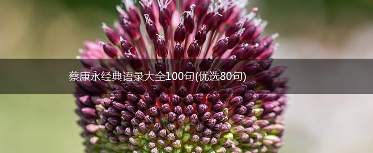 蔡康永经典语录大全100句(优选80句),第1张
