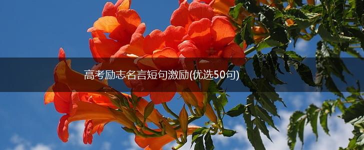 高考励志名言短句激励(优选50句),第1张