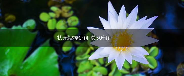 状元祝福语(汇总50句),第1张