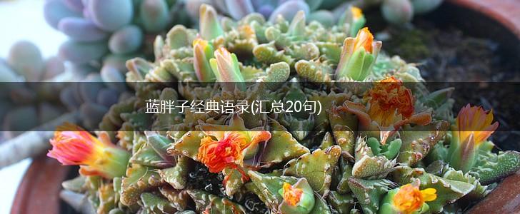 蓝胖子经典语录(汇总20句),第1张