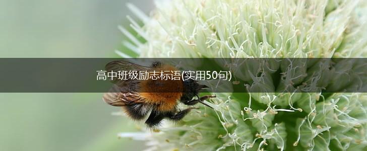高中班级励志标语(实用50句),第1张