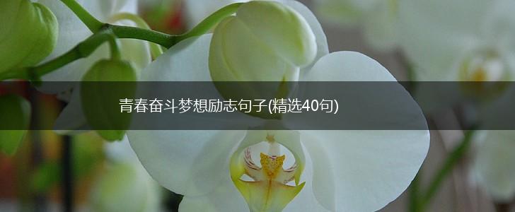 青春奋斗梦想励志句子(精选40句),第1张