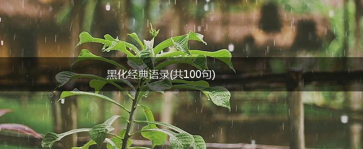 黑化经典语录(共100句),第1张