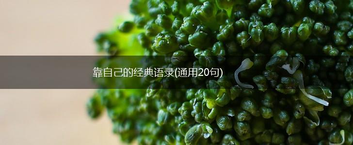 靠自己的经典语录(通用20句),第1张 靠自己的经典语录(通用20句),第1张