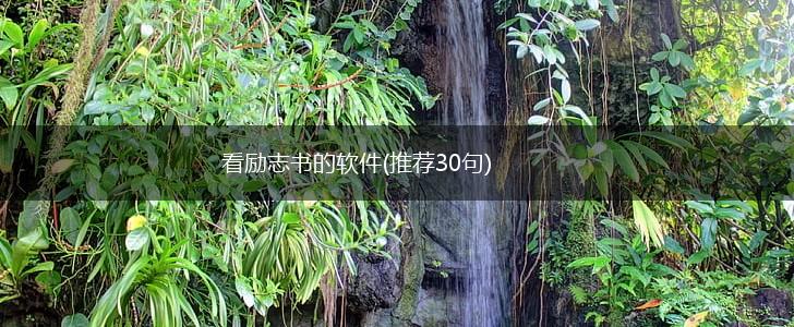 看励志书的软件(推荐30句),第1张