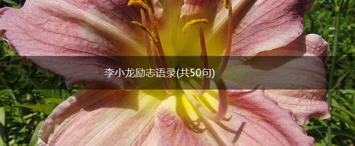 李小龙励志语录(共50句),第1张