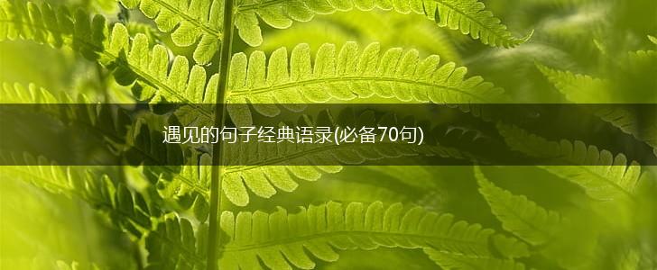 遇见的句子经典语录(必备70句),第1张