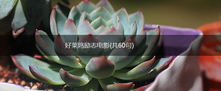 好莱坞励志电影(共60句),第1张