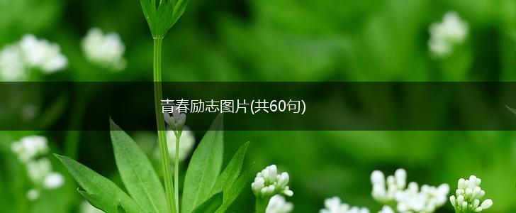 青春励志图片(共60句),第1张