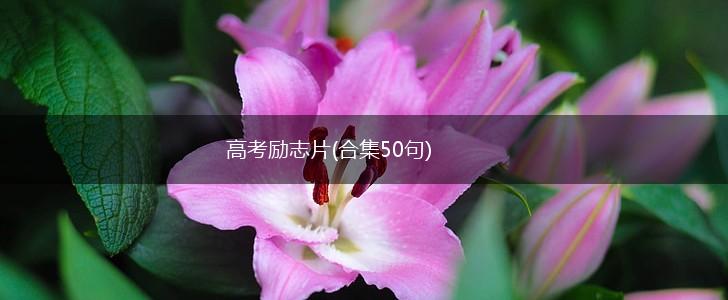 高考励志片(合集50句),第1张