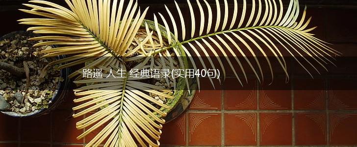 路遥 人生 经典语录(实用40句),第1张