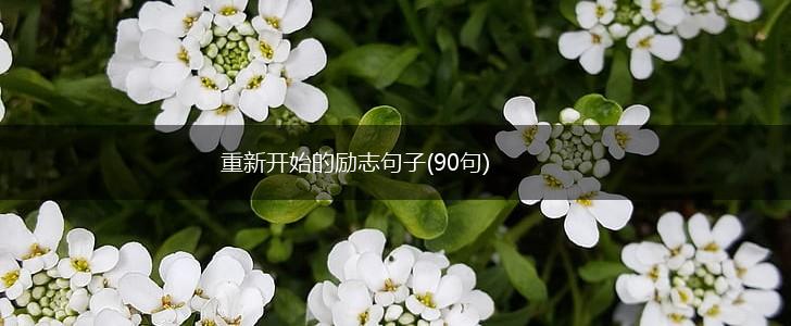 重新开始的励志句子(90句),第1张