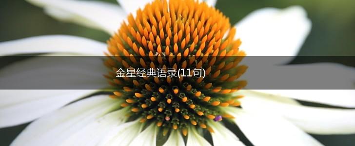 金星经典语录(11句),第1张