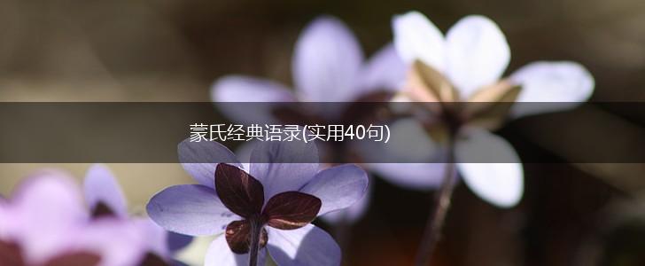 蒙氏经典语录(实用40句),第1张