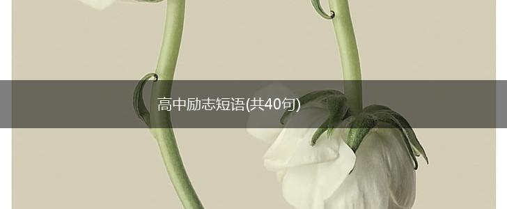 高中励志短语(共40句),第1张