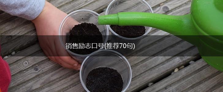 销售励志口号(推荐70句),第1张