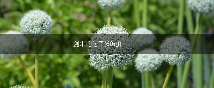 剑来的句子(60句),第1张