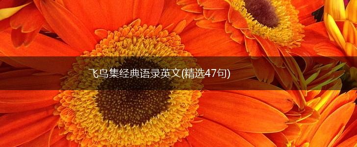 飞鸟集经典语录英文(精选47句),第1张