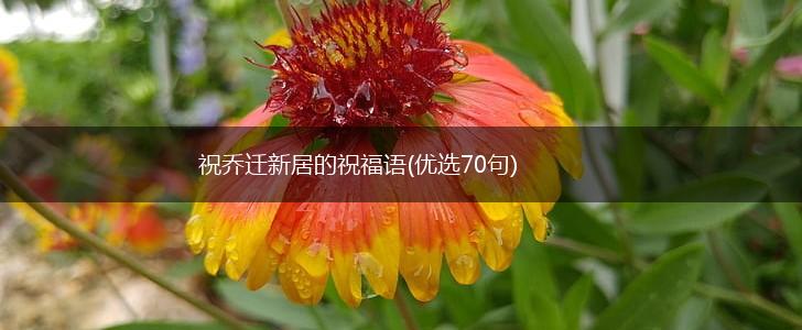 祝乔迁新居的祝福语(优选70句),第1张